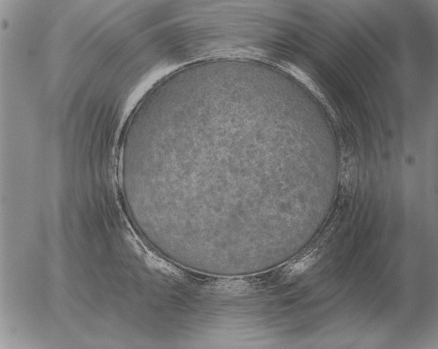 X0000056031094200509021815