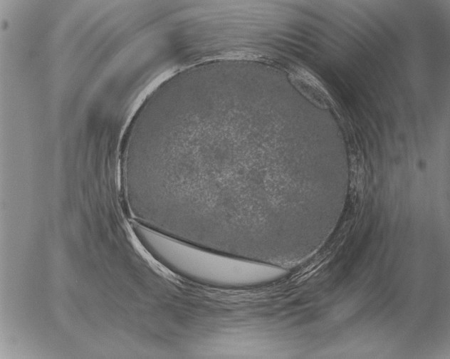 X0000056031095200509021815