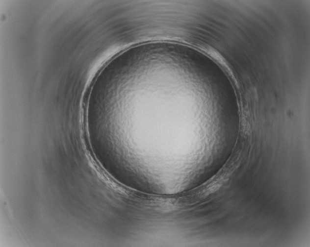 X0000056031096200509021815