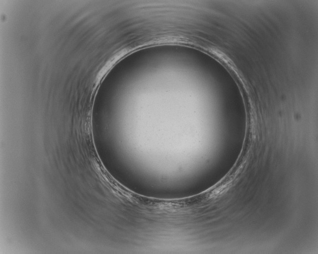 X0000056031097200509021815