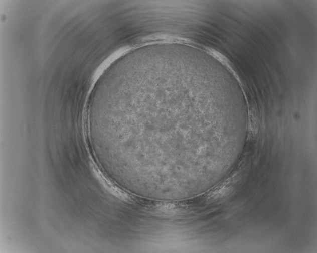 X0000056031098200509021815