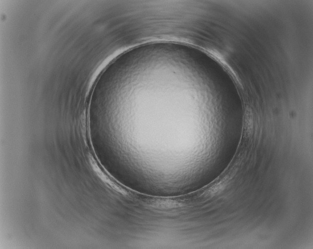 X0000056031100200509021815