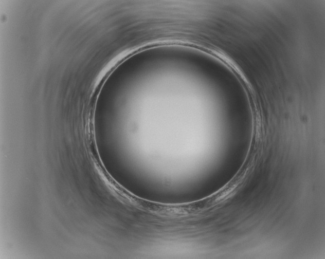 X0000056031101200509021815