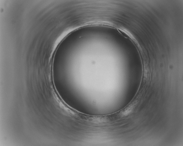 X0000056031102200509021815