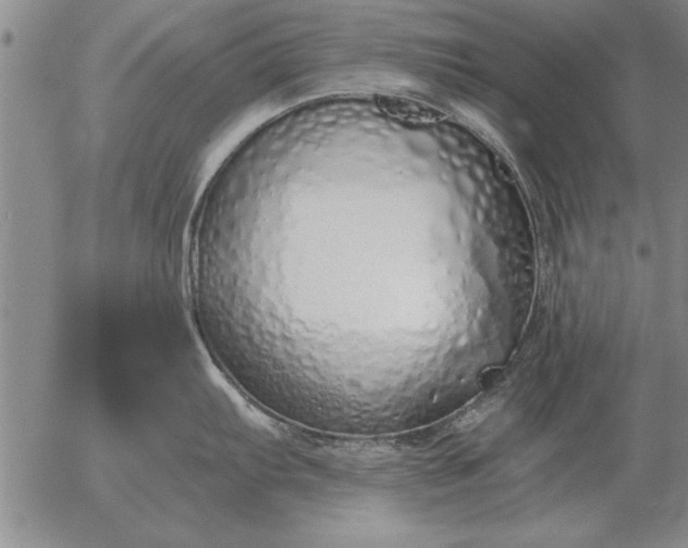 X0000056031103200509021815