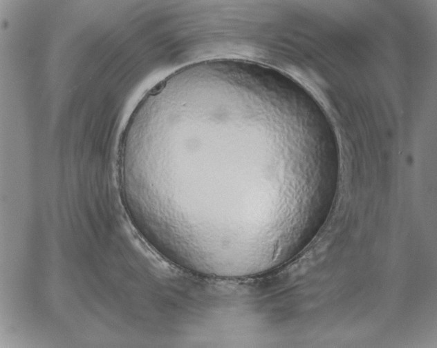 X0000056031104200509021815