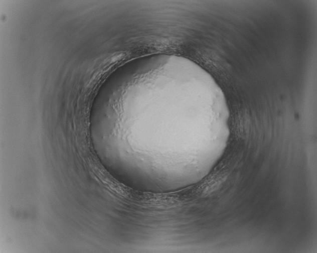 X0000056031105200509021814