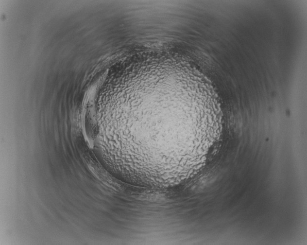 X0000056031106200509021814