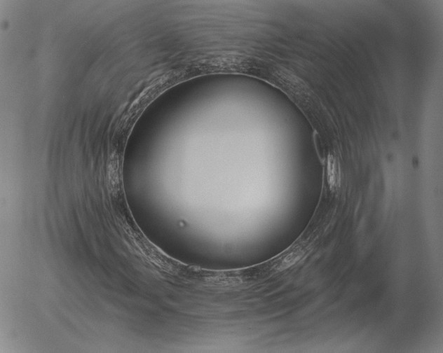 X0000056031107200509021814