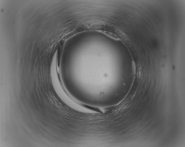 X0000056031108200509021814