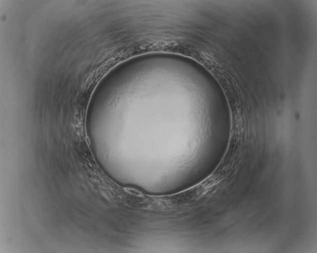 X0000056031109200509021814