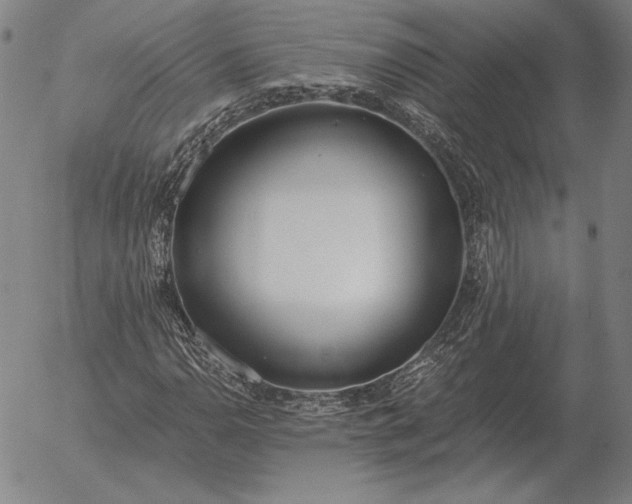 X0000056031110200509021814