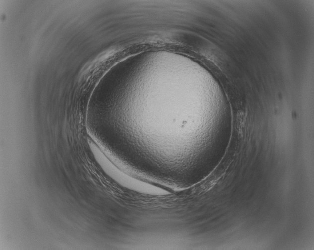 X0000056031111200509021814