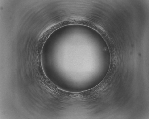 X0000056031112200509021814