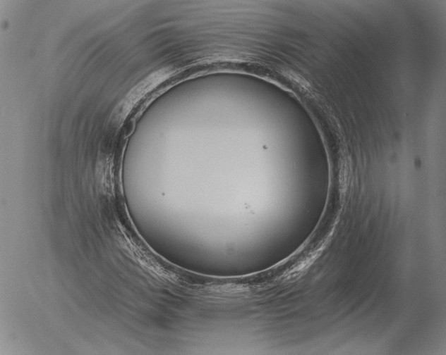 X0000056031113200509021814