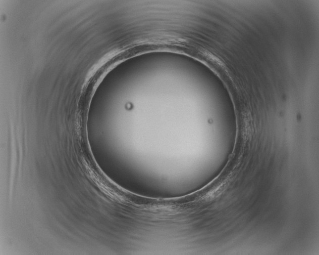 X0000056031114200509021814