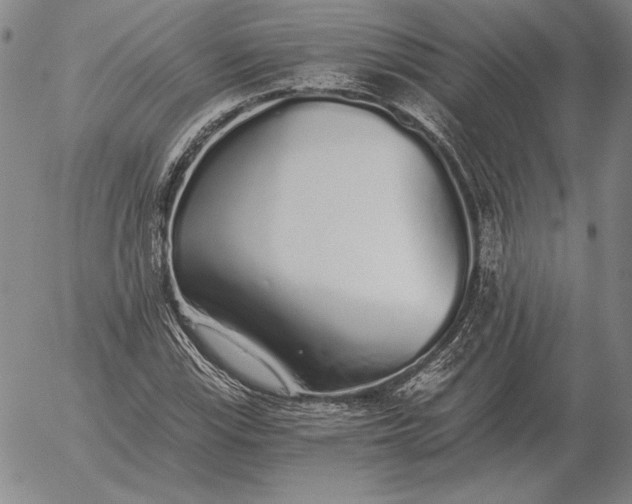 X0000056031115200509021814