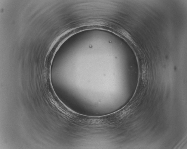 X0000056031116200509021814