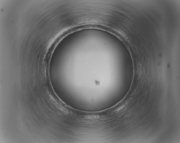 X0000056031118200509021814