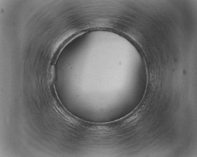 X0000056031119200509021814