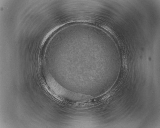 X0000056031120200509021814