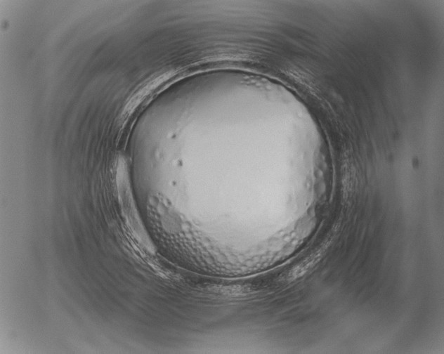 X0000056031121200509021815