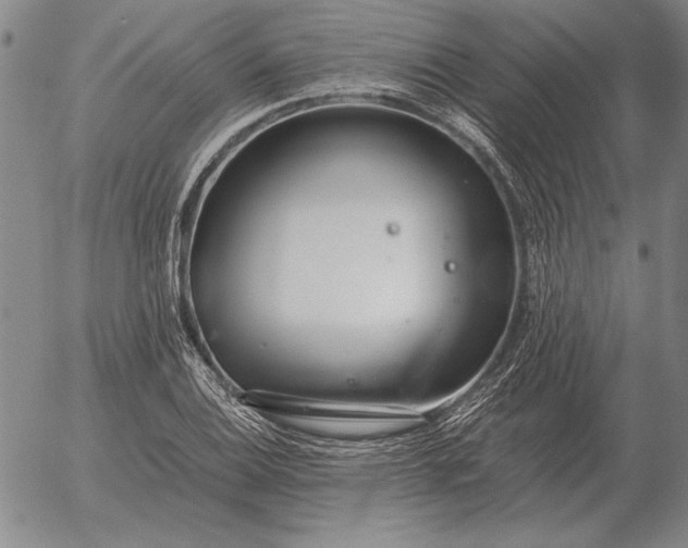 X0000056031124200509021815