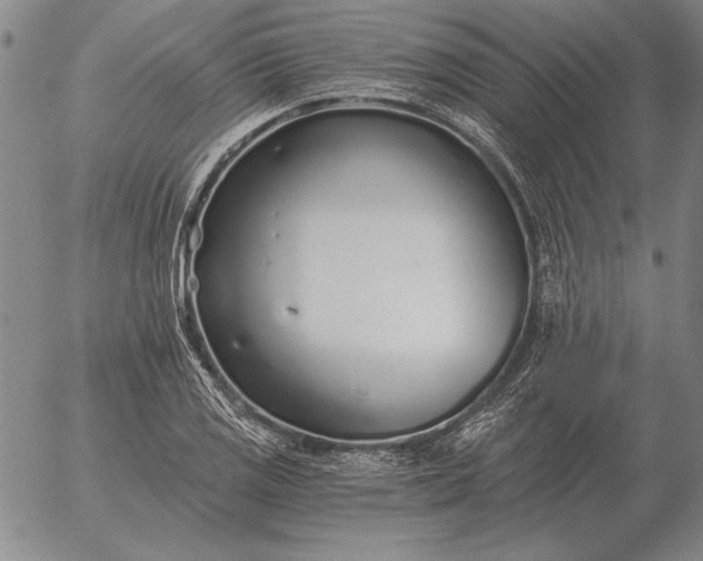 X0000056031125200509021815