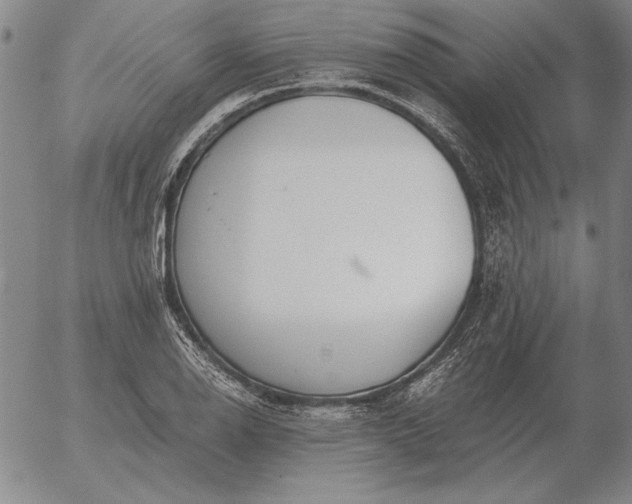 X0000056031126200509021815