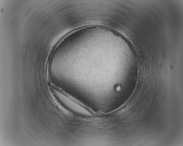 X0000056031127200509021815