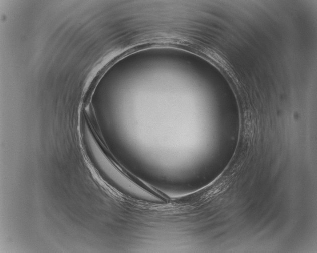 X0000056031128200509021815