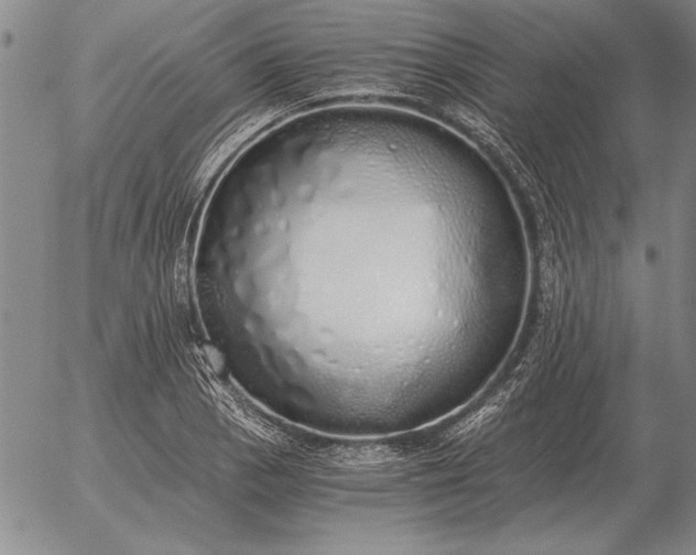 X0000056031129200509021815