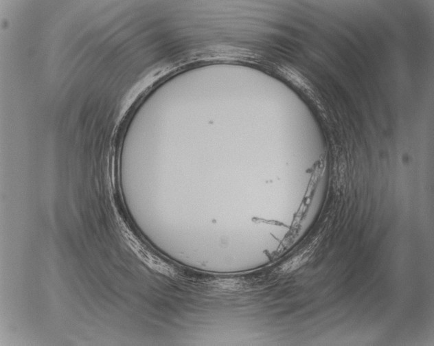 X0000056031130200509021815