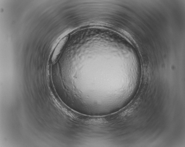 X0000056031133200509021815