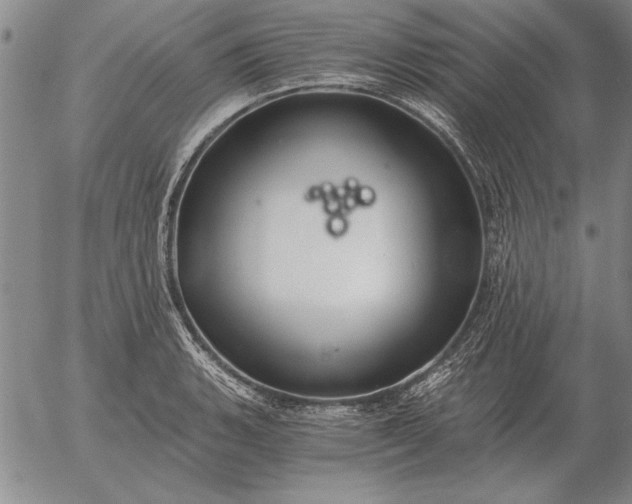 X0000056031135200509021815