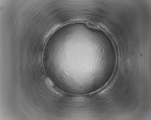 X0000056031137200509021815