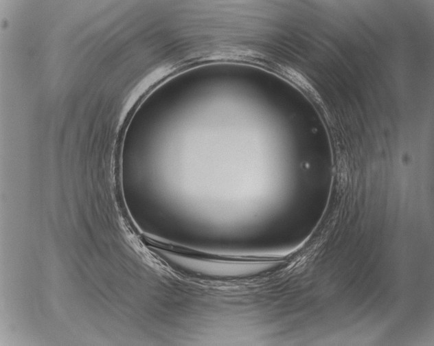 X0000056031138200509021815