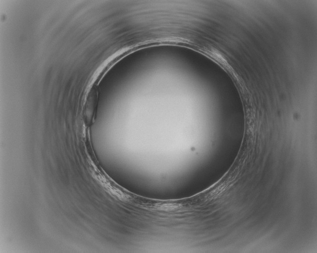 X0000056031140200509021815