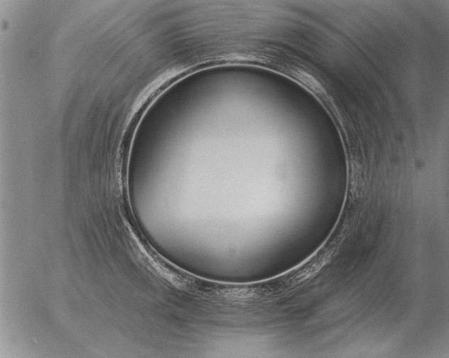 X0000056031141200509021815