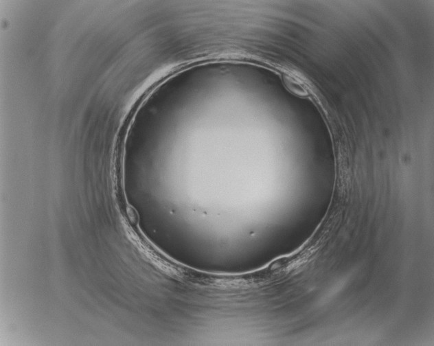 X0000056031142200509021815