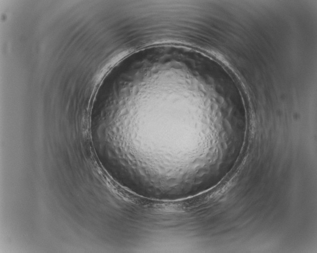 X0000056031145200509021815