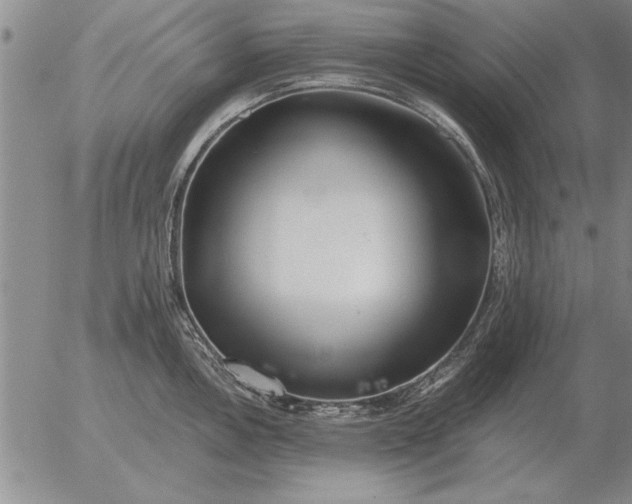 X0000056031146200509021815