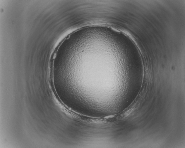 X0000056031147200509021815