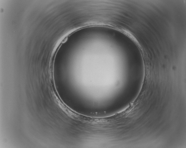 X0000056031148200509021815