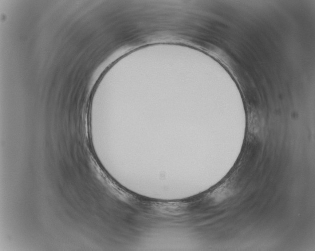 X0000056031150200509021815