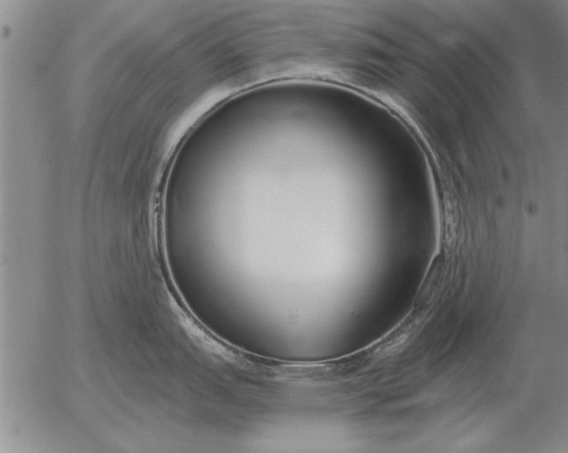 X0000056031151200509021815