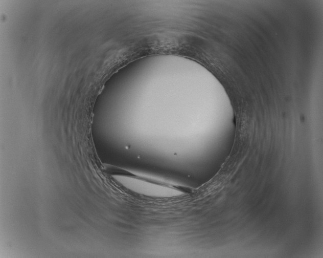 X0000056031153200509021814