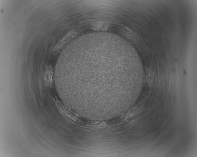 X0000056031154200509021814