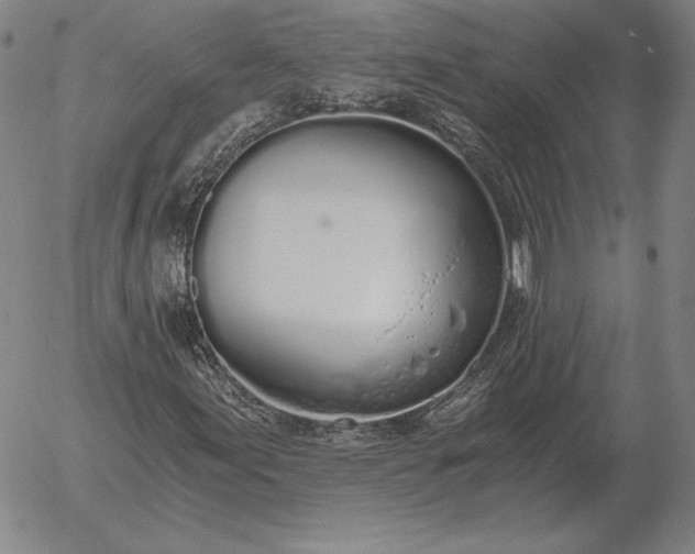 X0000056031155200509021814