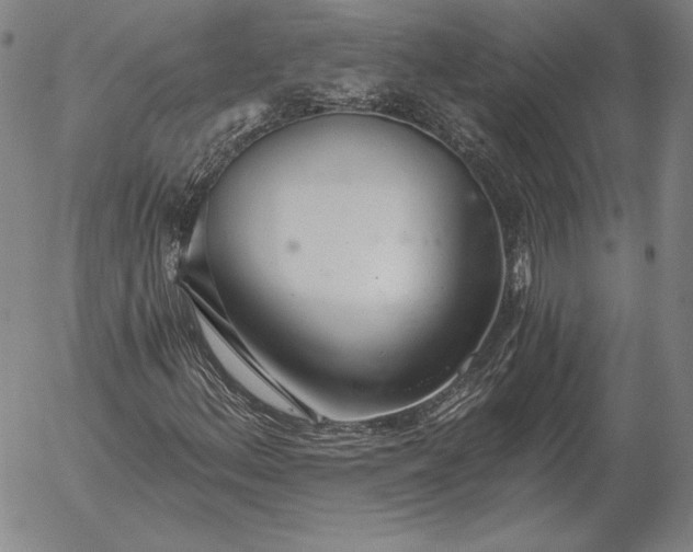 X0000056031156200509021814